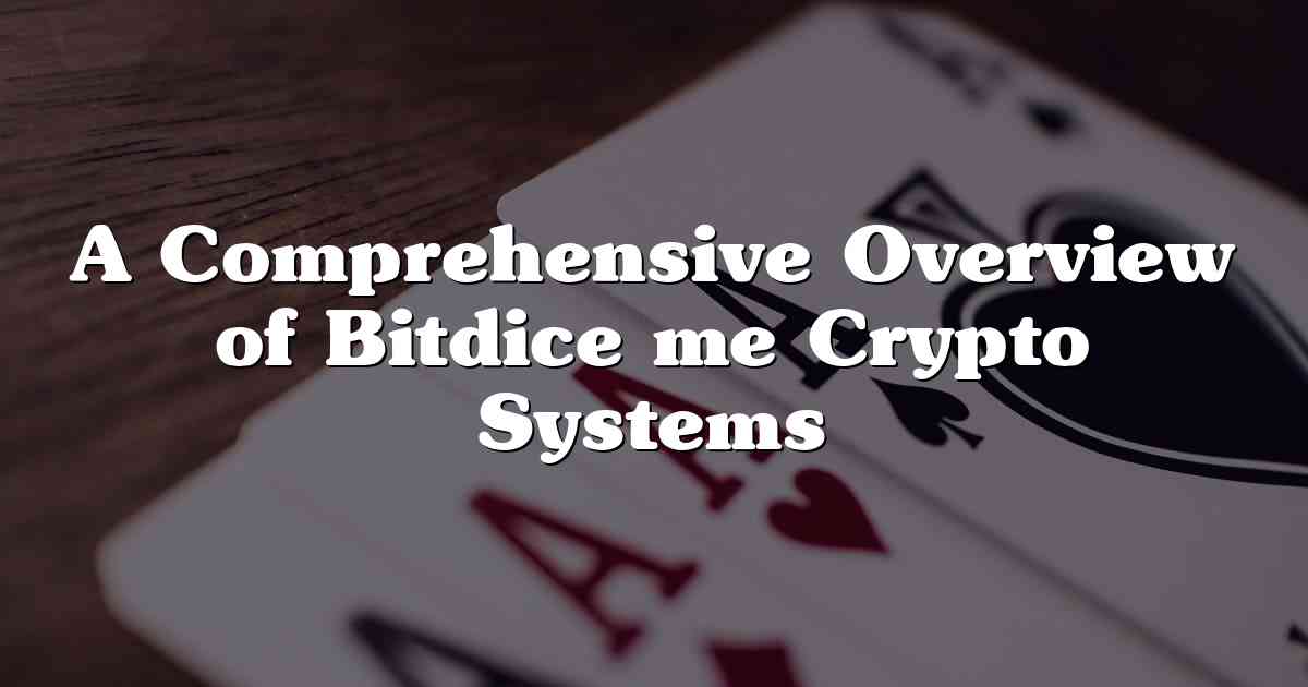 A Comprehensive Overview of Bitdice me Crypto Systems